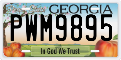 GA license plate PWM9895
