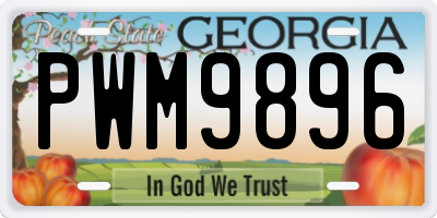 GA license plate PWM9896