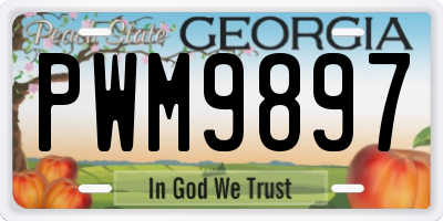 GA license plate PWM9897