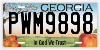 GA license plate PWM9898