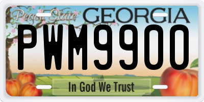 GA license plate PWM9900