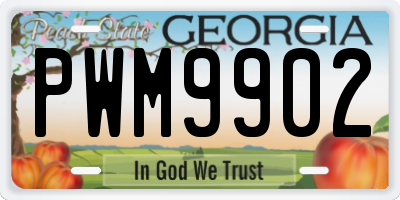 GA license plate PWM9902
