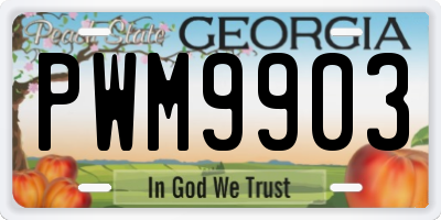 GA license plate PWM9903