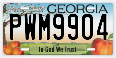 GA license plate PWM9904