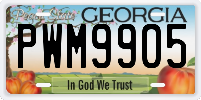 GA license plate PWM9905