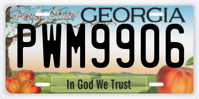 GA license plate PWM9906