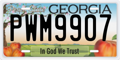 GA license plate PWM9907
