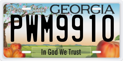 GA license plate PWM9910
