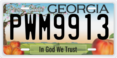 GA license plate PWM9913