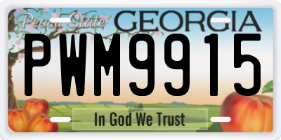 GA license plate PWM9915