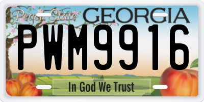 GA license plate PWM9916