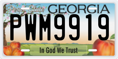GA license plate PWM9919