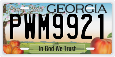 GA license plate PWM9921