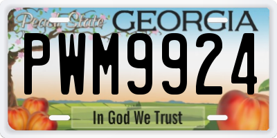 GA license plate PWM9924