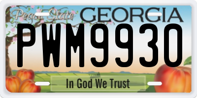 GA license plate PWM9930