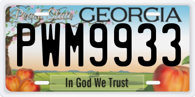 GA license plate PWM9933