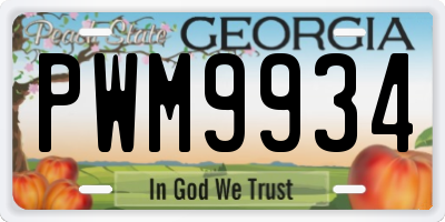 GA license plate PWM9934