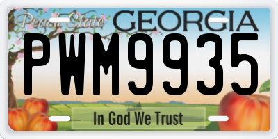 GA license plate PWM9935