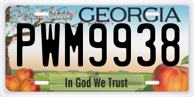 GA license plate PWM9938