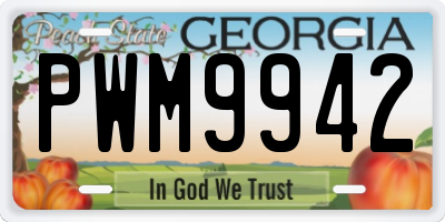 GA license plate PWM9942