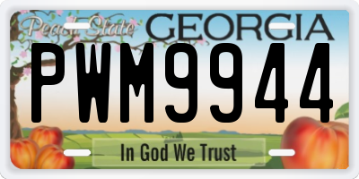 GA license plate PWM9944