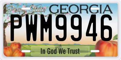 GA license plate PWM9946