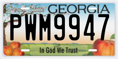 GA license plate PWM9947