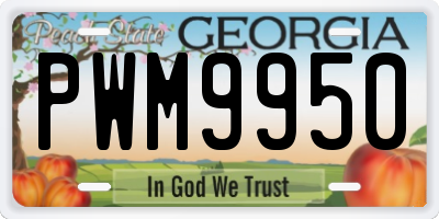 GA license plate PWM9950