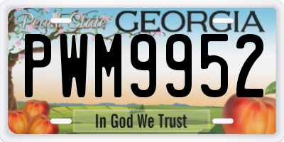 GA license plate PWM9952