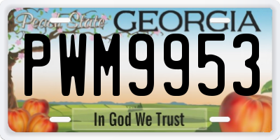 GA license plate PWM9953