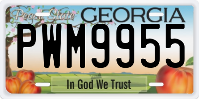 GA license plate PWM9955