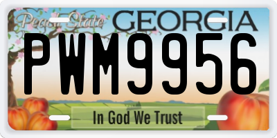GA license plate PWM9956