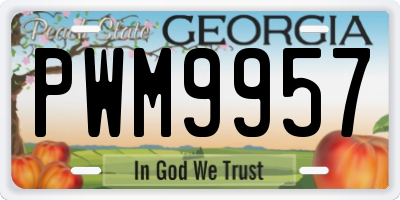 GA license plate PWM9957
