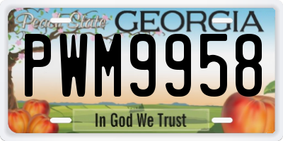 GA license plate PWM9958
