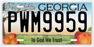 GA license plate PWM9959