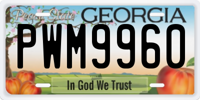 GA license plate PWM9960