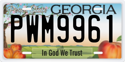 GA license plate PWM9961