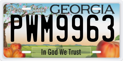 GA license plate PWM9963