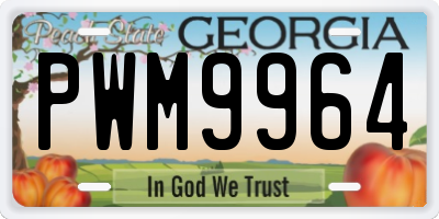 GA license plate PWM9964