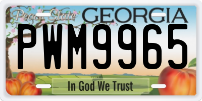 GA license plate PWM9965