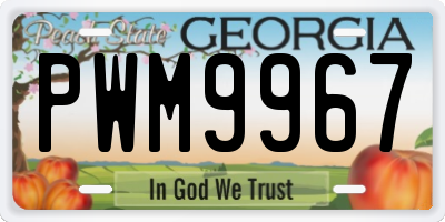 GA license plate PWM9967