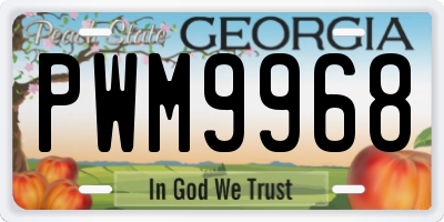 GA license plate PWM9968