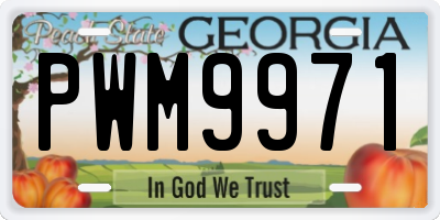 GA license plate PWM9971