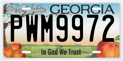 GA license plate PWM9972
