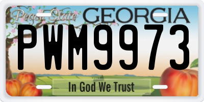 GA license plate PWM9973