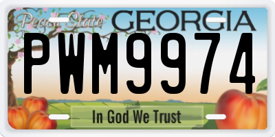 GA license plate PWM9974