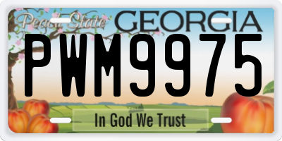 GA license plate PWM9975