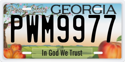 GA license plate PWM9977
