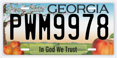 GA license plate PWM9978