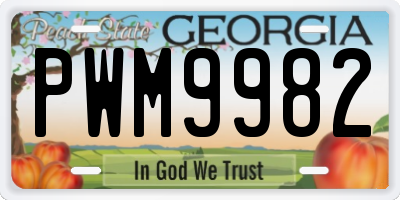 GA license plate PWM9982